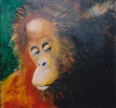 Philosoph Orang Utan, 2005