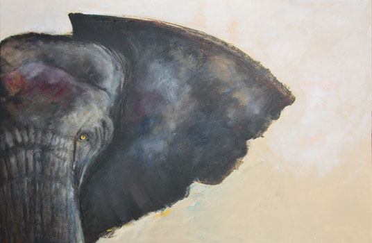 Afrikanischer Elefant, 2014