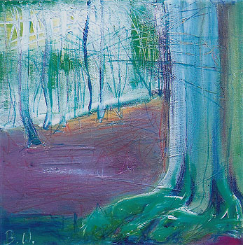 Steigerwaldbuche, 2010